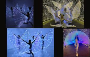 LED Wing Dancers Hire