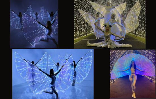 LED Wing Dancers Hire