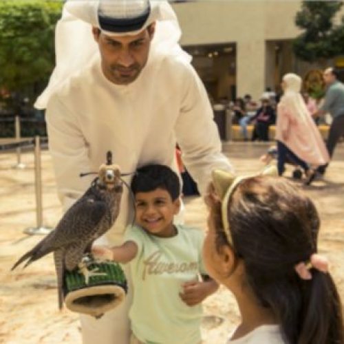 Falcon Show Hire
