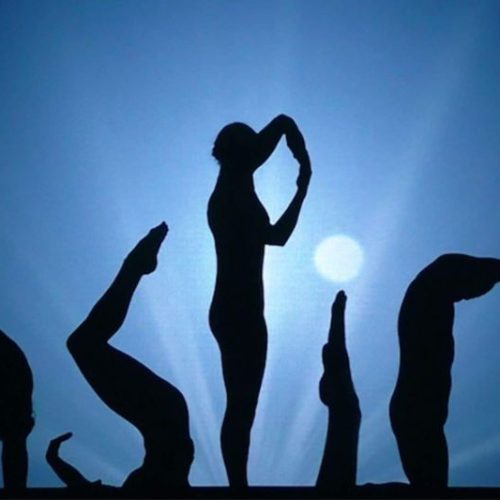 Shadow Dance Show Rental